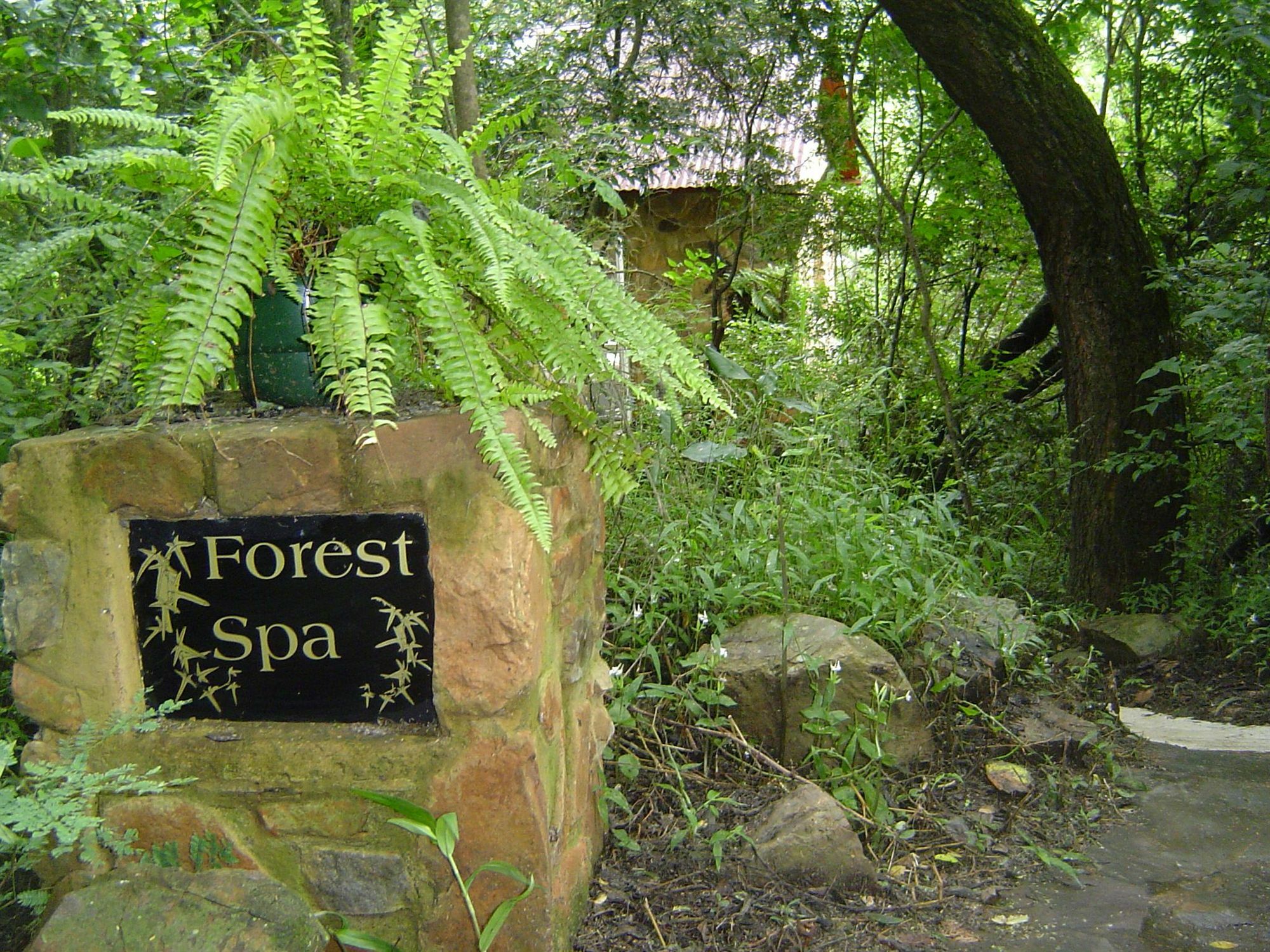 Forest Creek Lodge & Spa Dullstroom Zewnętrze zdjęcie